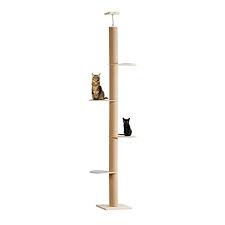 The best cat tree reviewed by us (and two cats) best cat repellents for training: Floor To Ceiling Cat Tree For Boss Cats 2021 Cat Checkup
