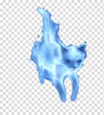 More meanings from these emoji categories Patronus Cat Harry Potter Lololoshkause Pony Cat Transparent Background Png Clipart Hiclipart