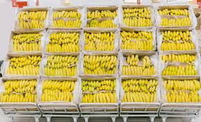 Bananas Are Getting Cheaper That Low Price Comes With Hidden Costs The Counter