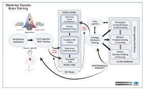 Image result for training effect schema