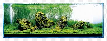 His interest in aquaria led him to create the japanese company aqua design amano. Takashi Amano Png Images Pngegg