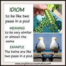 Idiom To Be Like Two Peas In A Pod English Course Malta