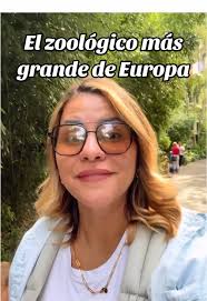 Jirafas Que No Envejecen En El Zoológico De Berlín