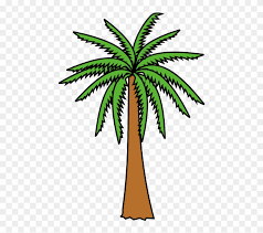 Apprenez à dessiner un palmier avec ce tutoriel facile étape par étape, on prendra ici l'exemple d'un cocotier à reproduire. Heraldique Meuble Palmier2 Dessin Palmier Dattier Clipart Full Size Clipart 1148944 Pinclipart