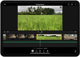 Our photo editors share their secrets. 17 Best Video Editing Apps For Android In 2020