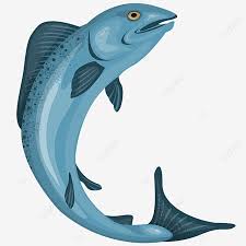 What are the things you need to avoid on aip (and why) it certainly can be discouraging to see a list of foods on the autoimmune protocol and want to cry. Jumping Fresh Salmon Salmon Blue Fish Png Transparent Clipart Image And Psd File For Free Download