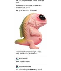 Reddit The Front Page Of The Internet Stupid Funny Tumblr Funny Stupid Memes