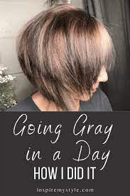 How To Go Gray Quickly My Experience Going Gray In A Day Hair Color Remover Transition To Gray Hair Grey Hair Transformation