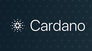 Cardano is a decentralized block platform on opensource smart contracts, launched in september 2017 by blockchain development output hong kong (iohk). Different Blockchains Ethereum Vs Cosmos Vs Hyperledger And More