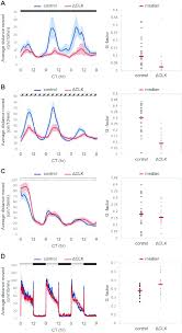 circadian rhythms of locomotor activity under dd and dimdim