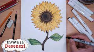Buzele ei si trandafirul iubirii. Invata Cum Se Deseneaza Floarea Soarelui Desenam Si Coloram Flori Youtube