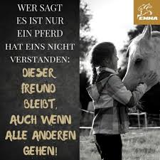 pin auf horses und andere schonheiten