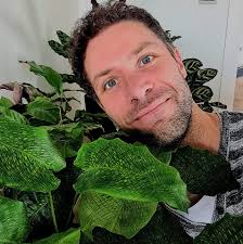 How to transfer a rattle snake calathea to leca?
