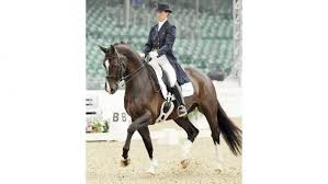 Maybe you would like to learn more about one of these? When Valegro Met The Queen Plus More Standout Dressage Memories From Royal Windsor Horse Hound