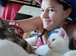 Rescuing a Kitten and the Importance of Not Separating Them from Their  Mothers