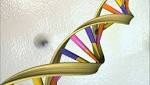  Study triples number of known depression genes