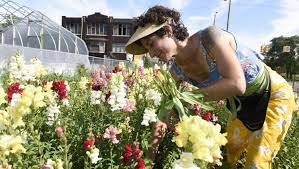 Check spelling or type a new query. Fresh Cut Flower Farms Spring Up Around Detroit