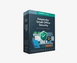 Kaspersky Distributor Purchase Software And Services Dsd
