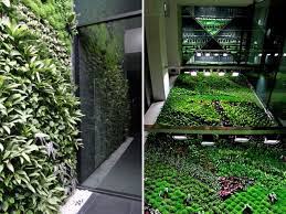 Check spelling or type a new query. Elche Indoor Vertical Garden Inhabitat Green Design Innovation Architecture Green Building