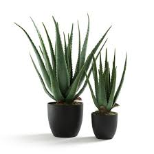 Последние твиты от la redoute (@laredoutefr). Epingle Sur Objets De Decoration