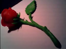 Yes, we've done a lot for dorset county hospital (dch), our local hospital, but go girls is much, much more and our wings will be spread far and wide in 2019 so we can give ever more support to women with gynaecological cancers. The Rose That Never Dies Tsukinohikari Flickr