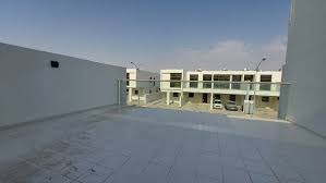 Image result for Janusia