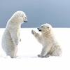 Very cute and adorable hd images of baby bear cubs. 3