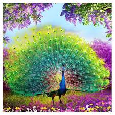 Asalkan sudah tahu trik dan polanya, maka hasil gambar pun akan indah layaknya. Oem Diy J Diamond Painting Lukisan Burung Merak Partial Drill Peralatan Menggambar 35 X 35 Cm Pre Order Terbaru Agustus 2021 Harga Murah Kualitas Terjamin Blibli