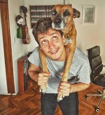 Image result for Mellera