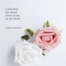 Follow Words Entwined On Instagram For Daily Poetry Poem Poetry Poems Quotes Love Lovequotes Writing Beautiful Flower Quotes Girly Quotes Love Quotes