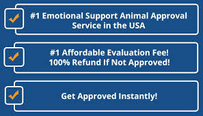 What do the letters say: Emotional Support Dog Sample Letter