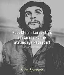 Kopeklerin Kardesligi Aralarina Kemik Atilincaya Kadardir Cheguevara Che Guevara Ozlu Sozler Bob Marley Sozleri