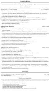 Mortgage Loan Processor Resume Sample Mintresume