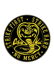 Cobra Kai In 2021 Karate Kid Kai Cobra