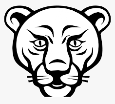 Begin by drawing the nose. Transparent Lioness Png Face Mountain Lion Drawing Png Download Transparent Png Image Pngitem