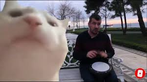 Maybe you would like to learn more about one of these? Cat Vibing To Ievan Polkka Official Video Hd Cat Vibing To Music Cat Vibing Meme Youtube