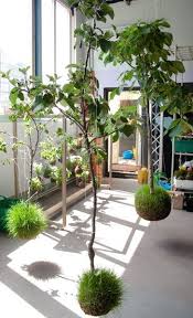 Pin Auf Flamingo Room