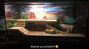 Bearded Dragon Tank With 2 Layer Basking Platform Bearded Dragon Tank Bearded Dragon Bearded Dragon Cage
