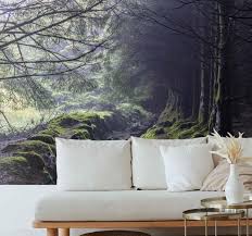 Everyday life does not have to be gray. Dark Forest Ireland Forest Wall Mural Tenstickers