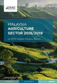 Malaysia has always been a strong player in the trading of agricultural products internationally, he said at the 18th malaysian international f&b trade fair. Malaysia Agriculture Sector Report 2018 2019 Industry Report Emis Insights