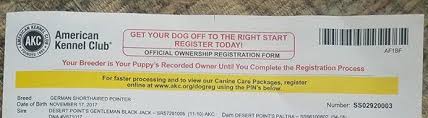 Check to see if you can register your dog online. How To Register A Pup Desert Point Kennels 209 256 4853