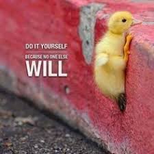 Inspirational pictures quotes will stimulate your mind and drive action! 11 Best Images About Quotes Willpower On Pinterest Life Photo Good Morning Quotes Morning Quotes Motivation