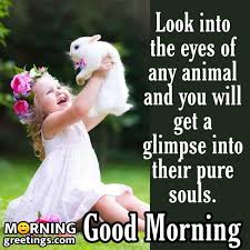 20 Best Good Morning Animal Quotes Morning Greetings Morning Quotes And Wishes Images Inspirational & motivational quotes are wonderful words that encourage everyone with positive, hope and enthusiasm. 20 best good morning animal quotes