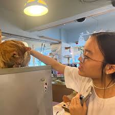 Chinese International School Class of 2024 (@cishk24) • Instagram photos  and videos