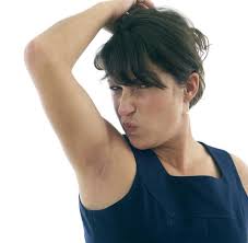 We did not find results for: Mikrobiologie Schweiss Bakterien An Der Nase Herumfuhren Welt