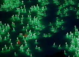 新加坡singapore 儿童表演者身着led服装 新加坡将在8月9日庆祝独立50周年 摄影师 edgar su singapore national day chinook helicopters golden jubilee