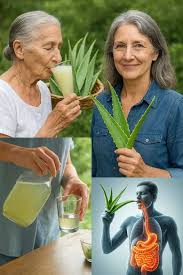 11 Reasons to Drink Aloe Vera Water Every Day + How to Make It?