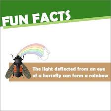 When you are on the island, head south. Termite Control In Crossing Republik Pest Control Services In Noida