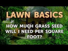 In this video i explain how much grass se. How Much Grass Seed Will I Need Per Square Foot Youtube