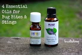 Essential Oils For Bug Bites Greenbootliving Essential Oils Essential Oils Work Essential Oil Deodorant